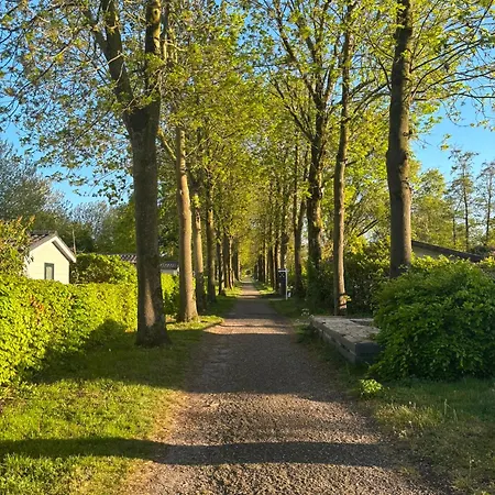 Ferienhaus De Verdwaalde Zeeuw *